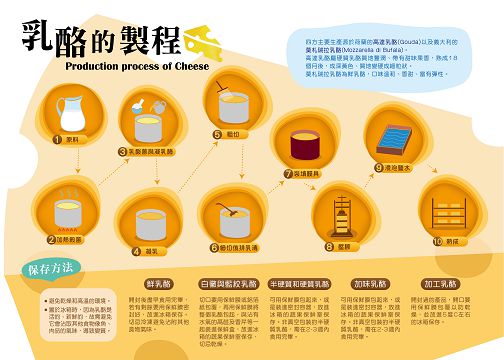 乳酪的製程介紹
