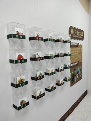 實體種子牆