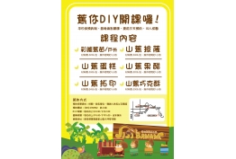 DIY 項目的照片