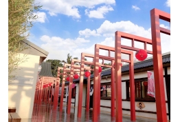 江戶大街外觀的照片