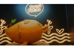 Sweet Potato的照片