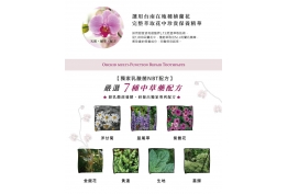 萃取菁華的照片