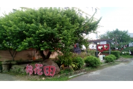 棉花田教學區的照片