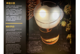 啤酒分類介紹的照片