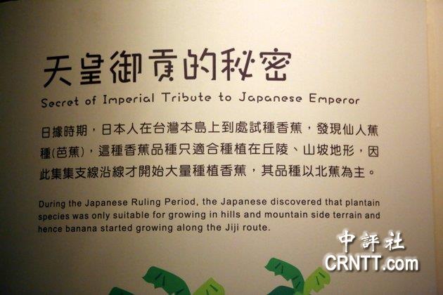 日本天皇御用的香蕉，過去都是由南投集集鎮生產。