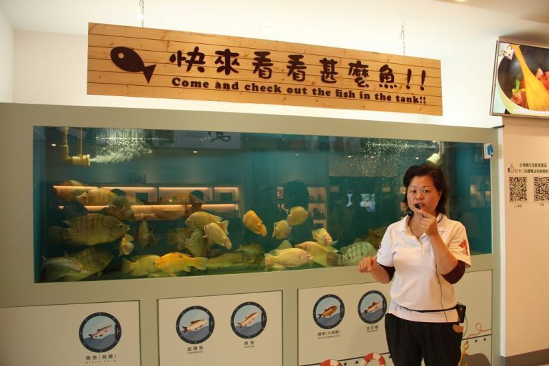 導覽老師解說吳郭魚變成台灣鯛的身世故事。